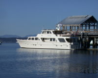 80 Voyager Up North